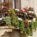 Cum să îți decorezi balconul cu flori